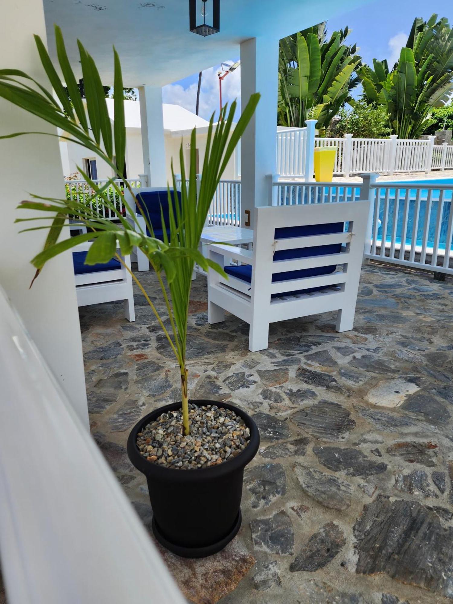 Bella Villa Room With Large Pool And Close To Beach Las Galeras Exterior photo
